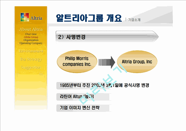 [기업경영전략]Altria Group 마케팅 분석   (5 )